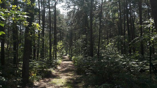Jurata - Plaża